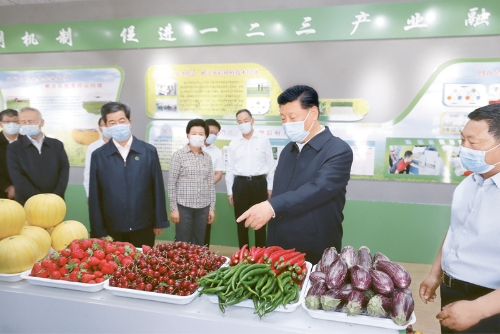 http://www.sdskw.cn/picture/0/s_533dbc9cc1794b8a8b6826b7cf0c7a8b.jpg